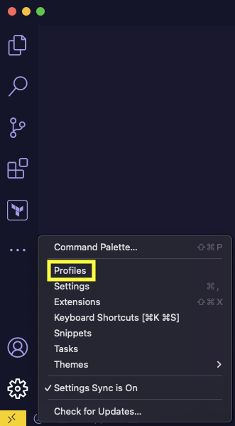 VS Code Settings